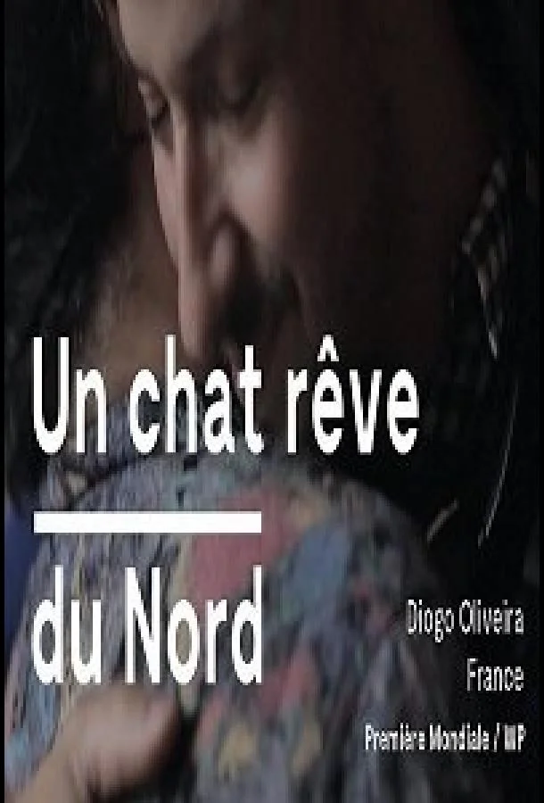 Кот, мечтающий о севере (2020) смотреть онлайн