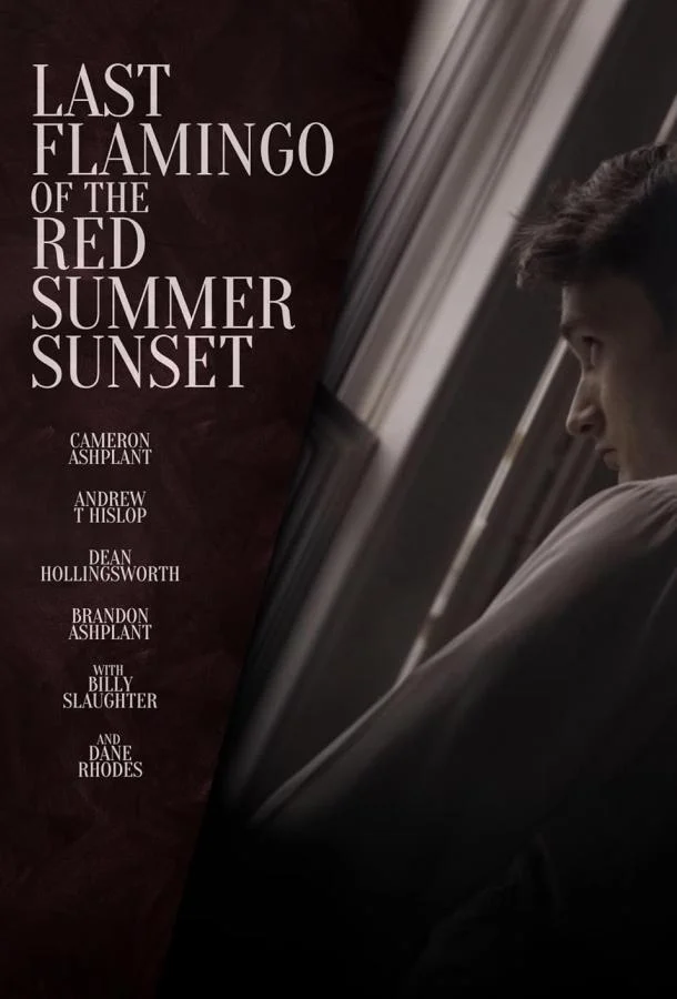 Последний фламинго красного летнего заката (2024) смотреть онлайн